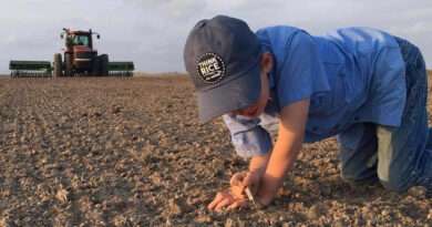 Llaman 40 organizaciones agrícolas y ganaderas de EU a renovar el T-MEC