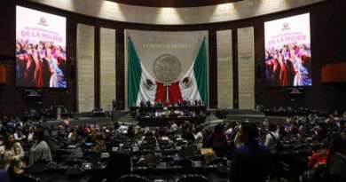 Reforma electoral va por reducción de senadores, recorte a partidos y mayor control sobre candidatos