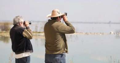 Texcoco: más de 70 mil visitantes y 300 mil aves en el parque ecológico que nació del NAIM cancelado