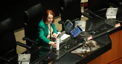 Llama presidenta del Senado a elevar nivel del debate en la Cámara