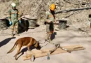 Búsqueda del último minero en El Rosario continúa de manera ininterrumpida
