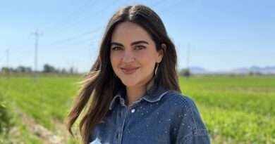 Senado otorga licencia por tiempo indefinido a la morenista Andrea Chávez