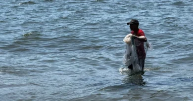 Sociedad de coperativas en Veracruz: más de 20 mil los pescadores afectados por derrame de hidrocarburo