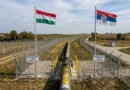 Hallan explosivos “devastadores” cerca de ducto serbio que lleva gas a Hungría