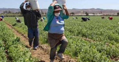 Impulsan asambleas en San Quintín para atender violencia contra jornaleras agrícolas