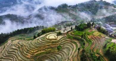 China y EU acuerdan ampliar comercio agrícola