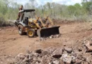 Profepa asegura maquinaria por desmonte ilegal en Reserva Cuxtal de Mérida