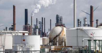 Precio del petróleo cae y los mercados accionarios se animan