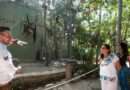 Reitera Mara Lezama combate frontal al maltrato animal; 10 primates asegurados reciben atención en UMA especializada