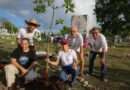 BAJO EL LIDERAZGO DE ANA PATY PERALTA, CANCÚN RECIBE DISTINTIVO INTERNACIONAL POR SU ARBOLADO URBANO