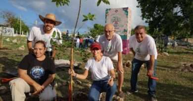 BAJO EL LIDERAZGO DE ANA PATY PERALTA, CANCÚN RECIBE DISTINTIVO INTERNACIONAL POR SU ARBOLADO URBANO