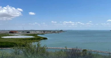 Semarnat informa que vigila la construcción y futura operación de planta de amoniaco en Topolobampo