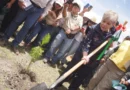 Gobierno prevé reforestar 32 mil hectáreas con 15.5 millones de árboles
