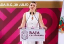 Más de 8 mil armas aseguradas en Baja California