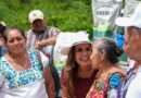 Entrega Mara Lezama en José María Morelos semillas mejoradas para fortalecer a las familias del campo en Quintana Roo