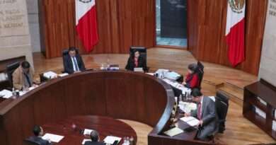 Mónica Soto deja el TEPJF, renuncia como magistrada